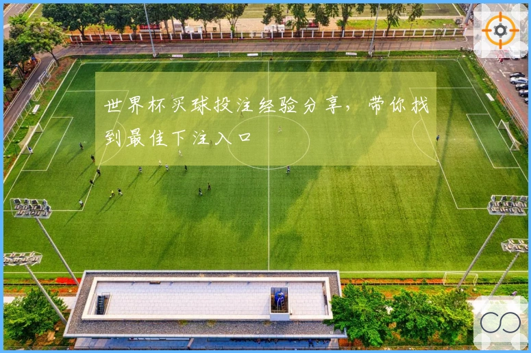 世界杯买球投注经验分享，带你找到最佳下注入口