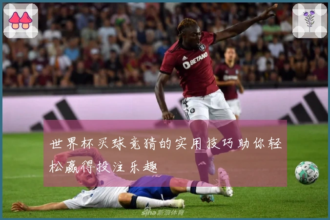 世界杯买球竞猜的实用技巧助你轻松赢得投注乐趣