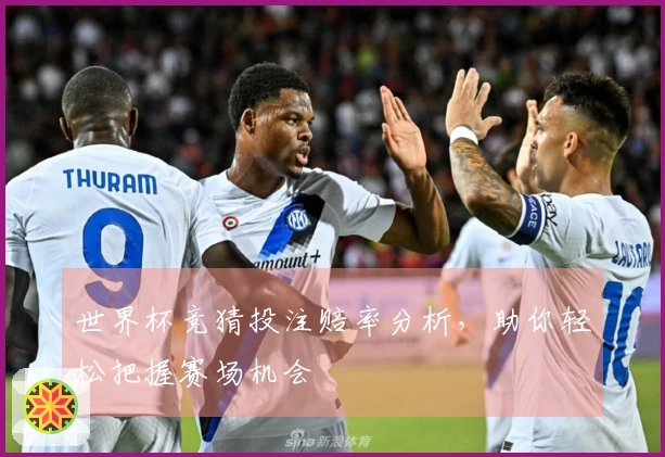 世界杯竞猜投注赔率分析，助你轻松把握赛场机会