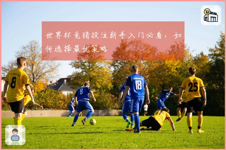 世界杯竞猜投注新手入门必看，如何选择最优策略