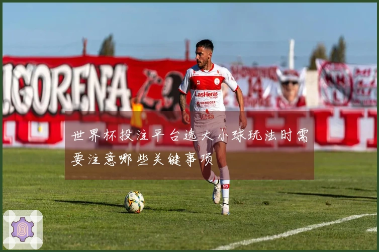 世界杯投注平台选大小球玩法时需要注意哪些关键事项