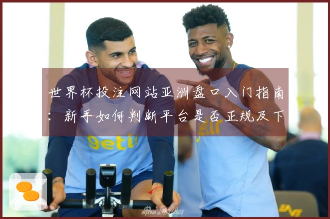 世界杯投注网站亚洲盘口入门指南:新手如何判断平台是否正规及下注注意事项