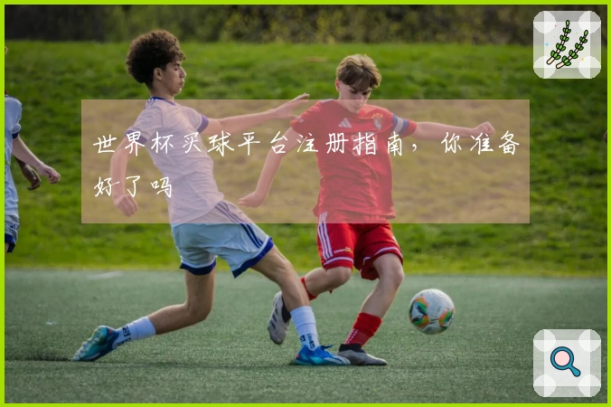 世界杯买球平台注册指南,你准备好了吗