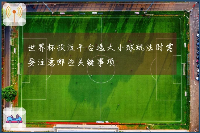世界杯投注平台选大小球玩法时需要注意哪些关键事项