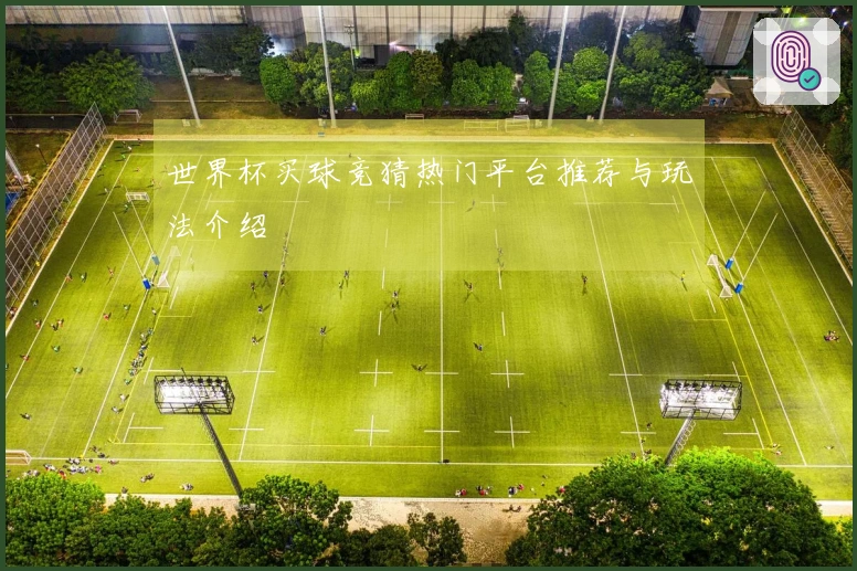 世界杯买球竞猜热门平台推荐与玩法介绍