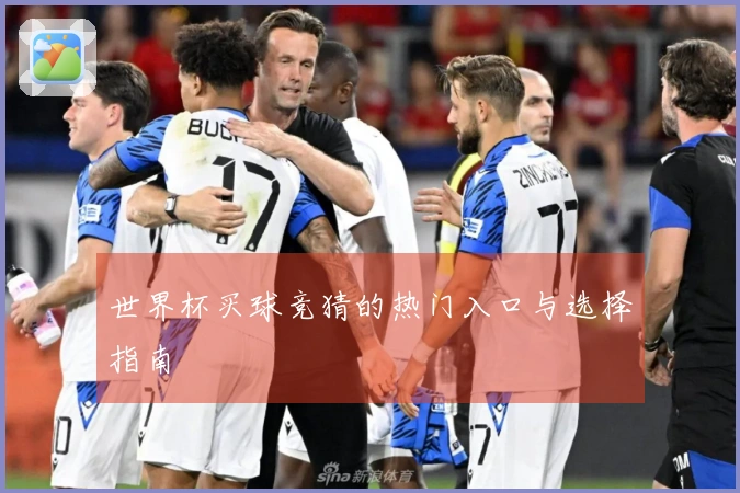 世界杯买球竞猜的热门入口与选择指南