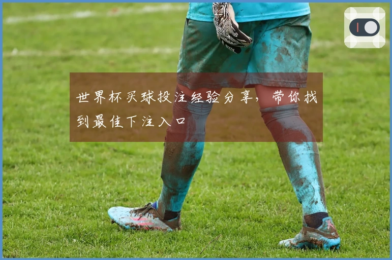 世界杯买球投注经验分享，带你找到最佳下注入口