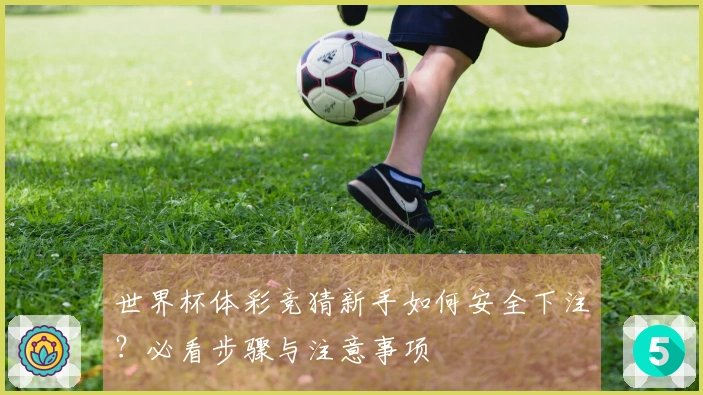 世界杯体彩竞猜新手如何安全下注？必看步骤与注意事项