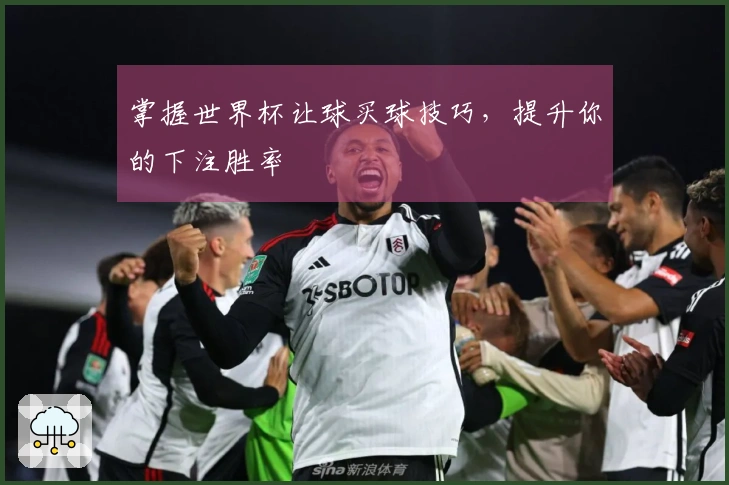 掌握世界杯让球买球技巧，提升你的下注胜率