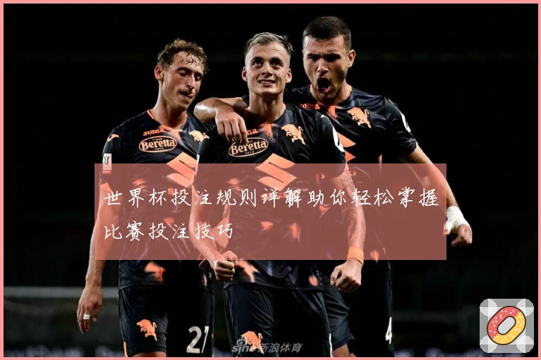 世界杯投注规则详解助你轻松掌握比赛投注技巧